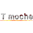 Ｔ ｍｏｃｈｅ (T moche)