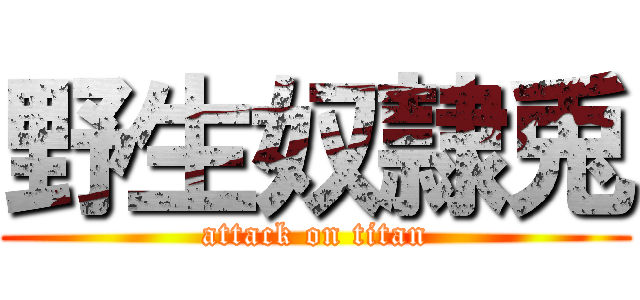 野生奴隷兎 (attack on titan)