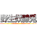 野生奴隷兎 (attack on titan)