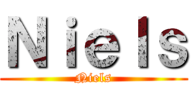 Ｎｉｅｌｓ (Niels)