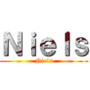 Ｎｉｅｌｓ (Niels)