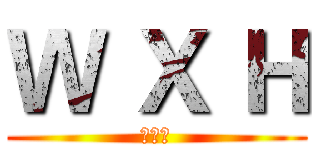 Ｗ Ｘ Ｈ (王旭卉)