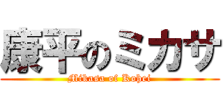 康平のミカサ (Mikasa of Kohei)