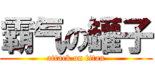 霸气の罐子 (attack on titan)