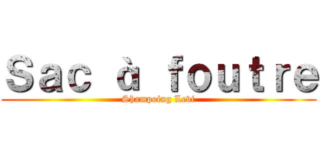 Ｓａｃ à ｆｏｕｔｒｅ (Shampoing Levi)