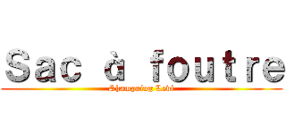 Ｓａｃ à ｆｏｕｔｒｅ (Shampoing Levi)