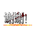 谢谢！ (THANKS！)