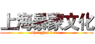 上海暴蒙文化 (shanghai boom )