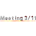 Ｍｅｅｔｉｎｇ ３／１１ (Weing)