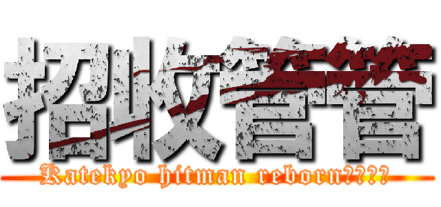 招收管管 (Katekyo hitman reborn家庭教师)