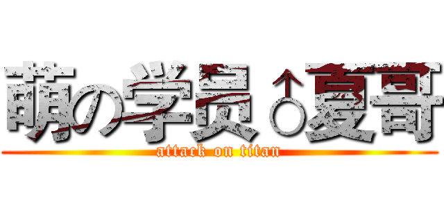 萌の学员♂夏哥 (attack on titan)