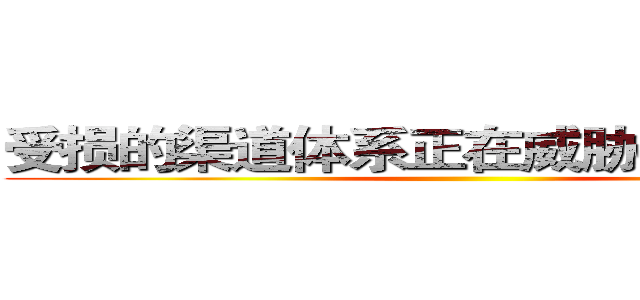 受损的渠道体系正在威胁品牌公信力 ()