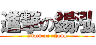 進撃の錫泓 (attack on cihong)