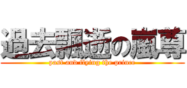 過去飄逝の嵐尊 (past and flying the prince)