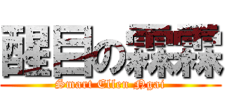 醒目の霖霖 (Smart Ellen Ngai)