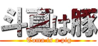 斗真は豚 ( Toma is a pig)