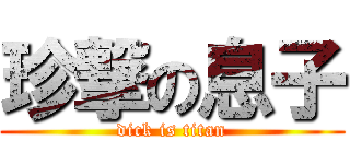 珍撃の息子 (dick is titan)