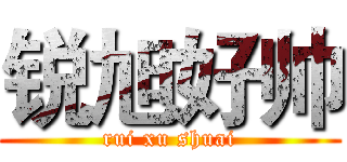 锐旭好帅 (rui xu shuai)