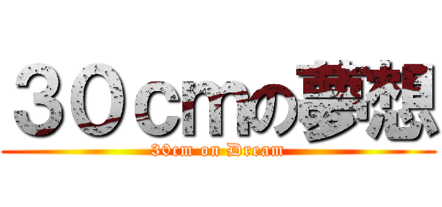 ３０ｃｍの夢想 (30cm on Dream)