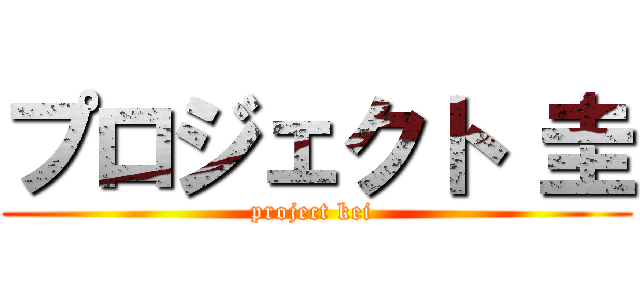 プロジェクト 圭 (project kei )