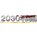 ２０３０年問題 ()