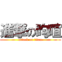 進撃の昀暄 (attack on titan)