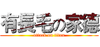 有長毛の家德 (attack on titan)