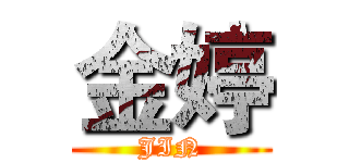 金婷 (JIN)