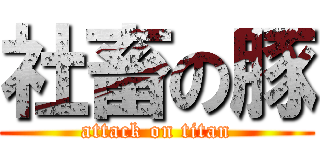 社畜の豚 (attack on titan)