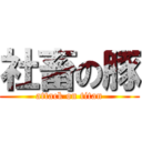 社畜の豚 (attack on titan)