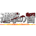 進撃の智 (attack on sakurai)