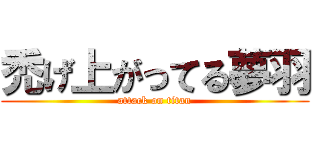 禿げ上がってる夢羽 (attack on titan)