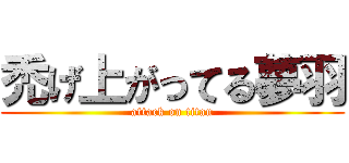 禿げ上がってる夢羽 (attack on titan)