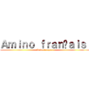 Ａｍｉｎｏ ｆｒａｎçａｉｓ  (Amino français )