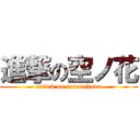 進撃の空ノ花 (attack on soranohana)