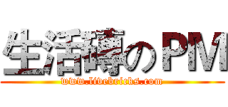 生活磚のＰＭ (www.livebricks.com)