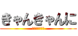 きゃんきゃんに (ｷｬﾝｷｬﾝﾆ)