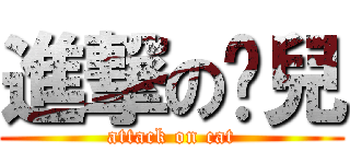 進撃の貓兒 (attack on cat)