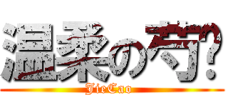 温柔の芍药 (JieCao )