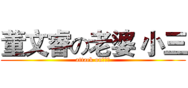 董文睿の老婆 小三 (attack on董文睿)