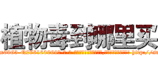 植物毒到哪里买 (植物毒到哪里买【电-186x2687x6963-Q278180069元-吉-药-业】我们做的是长期生意,靠的是老客户长期支持 http://sngk.net/zwQTWL
)