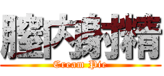 膣内射精 (Cream Pie)