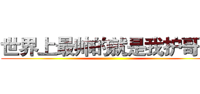 世界上最帅的就是我护哥  ｉ ()