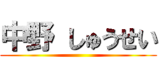 中野 しゅうせい ()