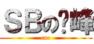 ＳＢの晓峰 (cao)