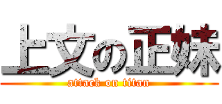 上文の正妹 (attack on titan)