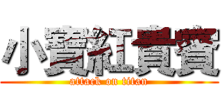 小寶紅貴賓 (attack on titan)