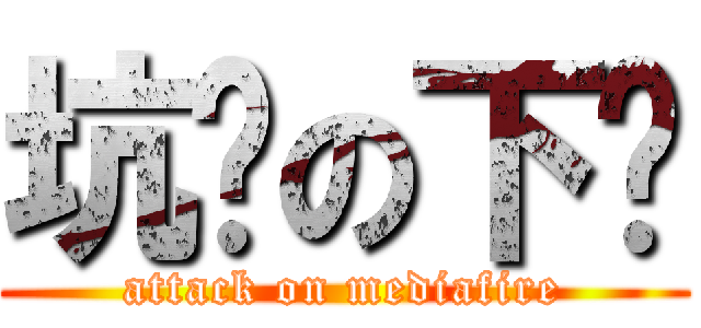 坑爹の下载 (attack on mediafire)