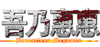 吾乃惠惠 (Breastless Megumin)