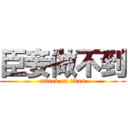 臣妾做不到 (attack on titan)